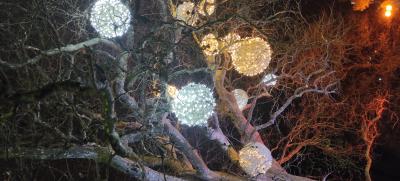 Прикрепленное изображение: IMG_20220108_193107.jpg